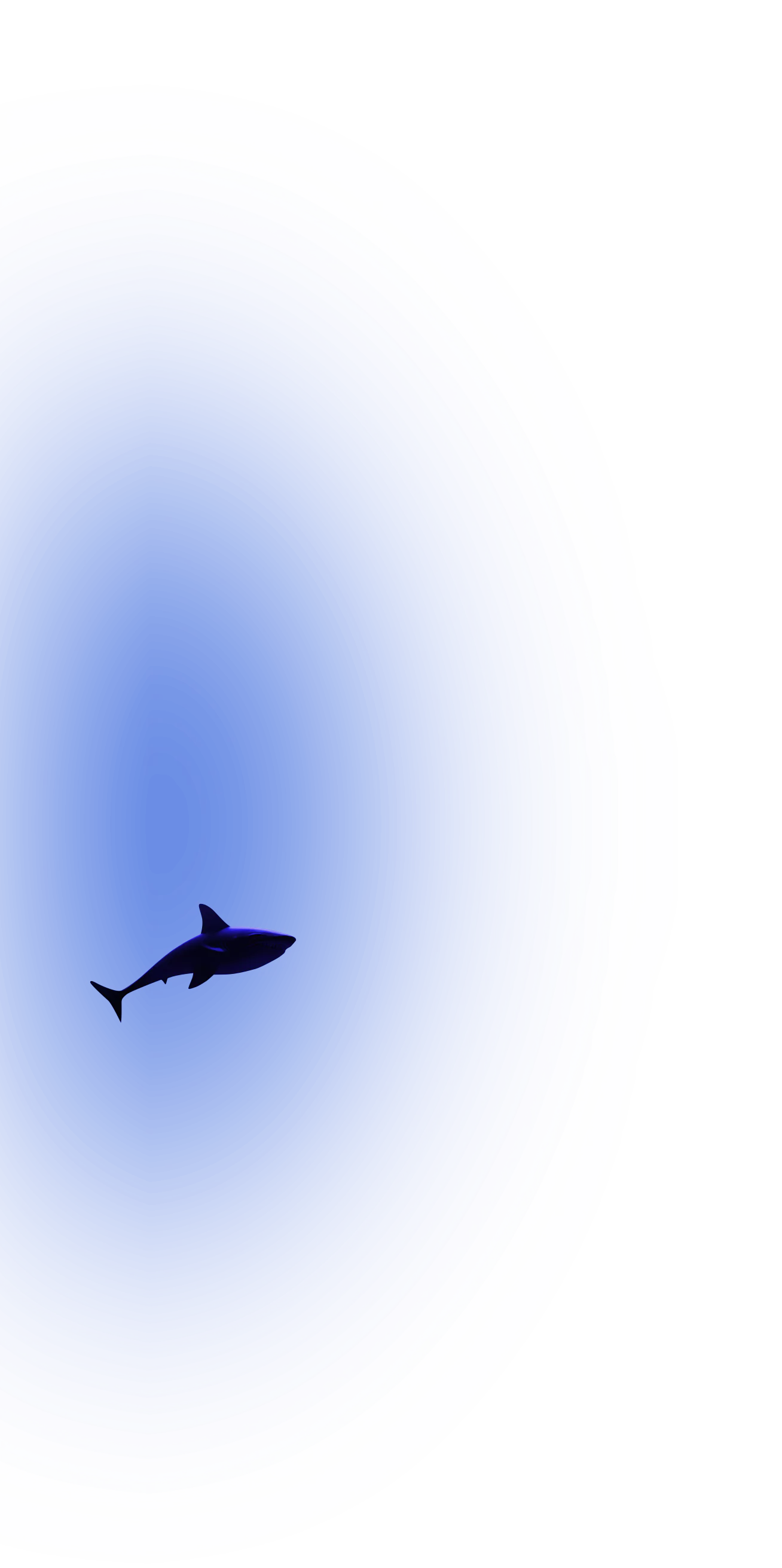 Another shark background for desktop